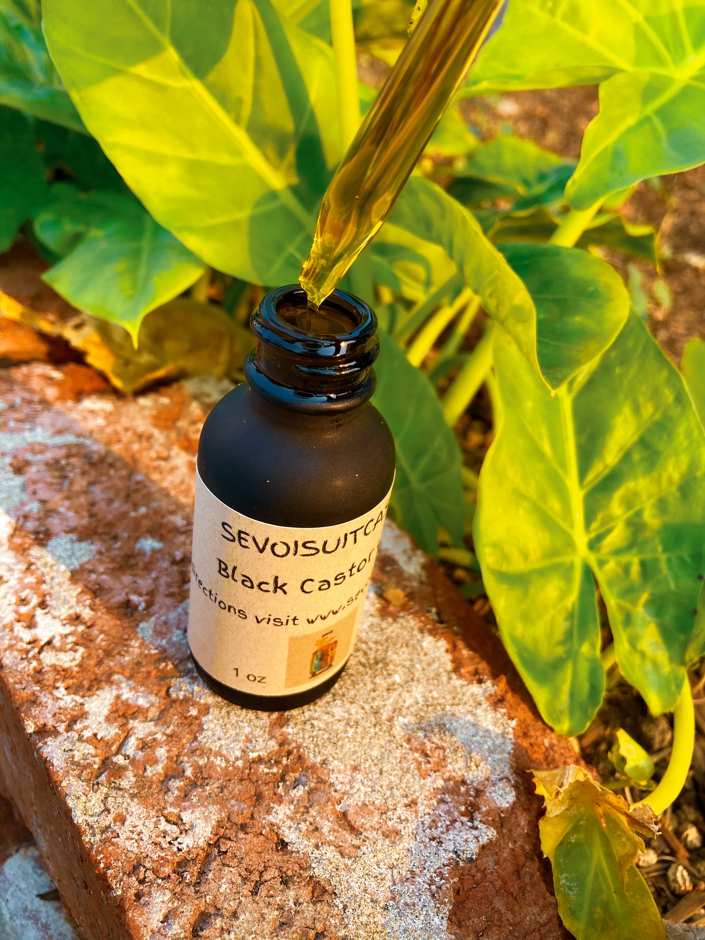 Black Castor Oil
