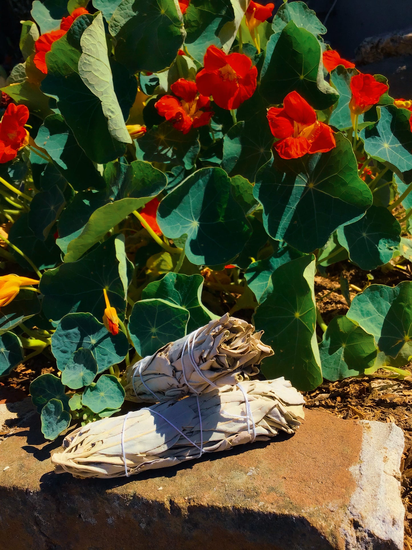 California White Sage Stick