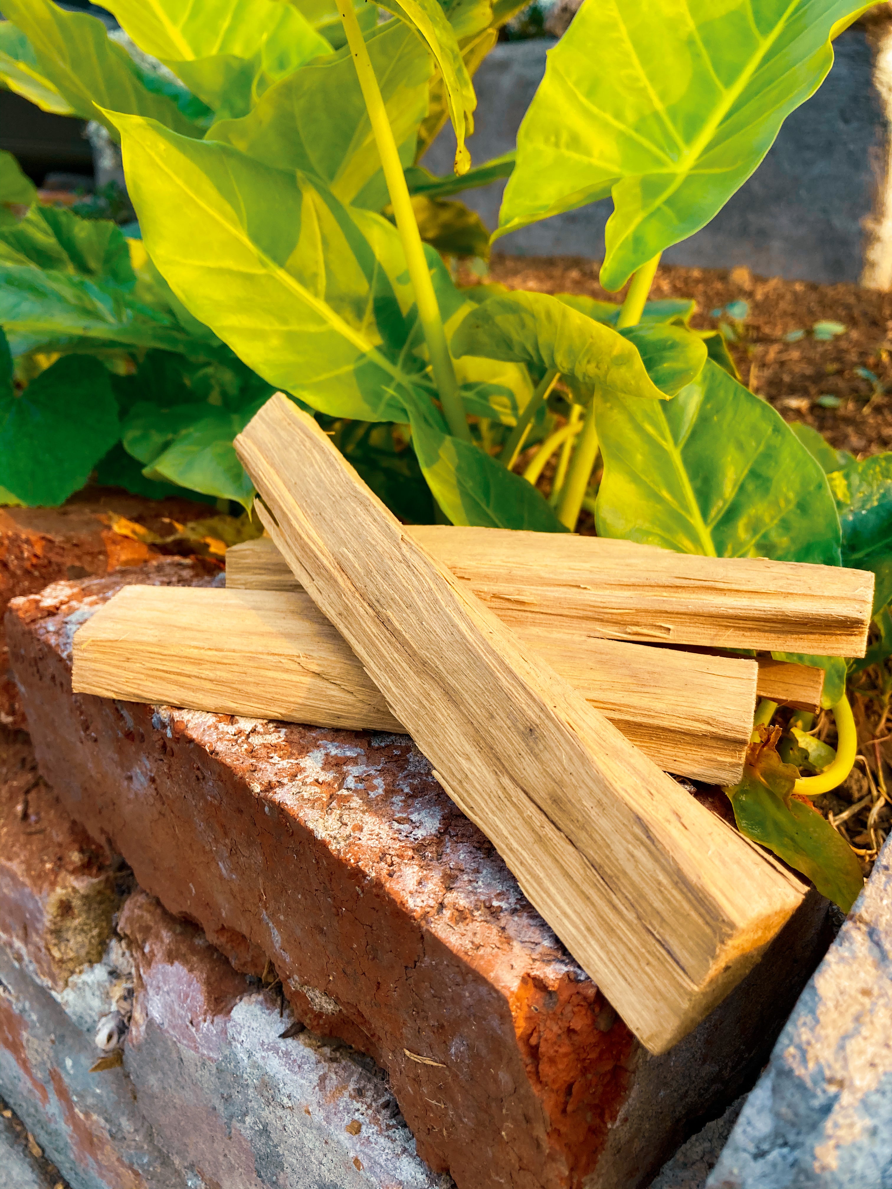 Natural Sandalwood Sticks