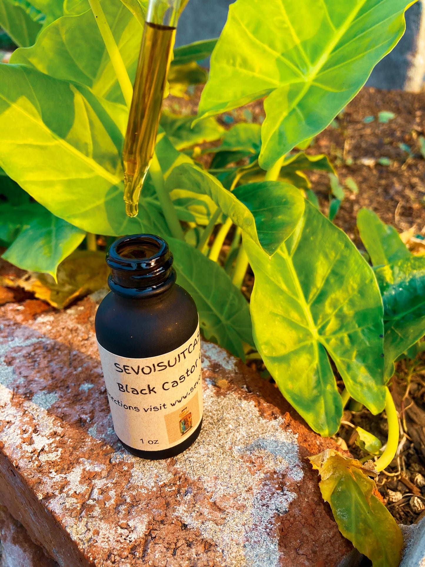 Black Castor Oil