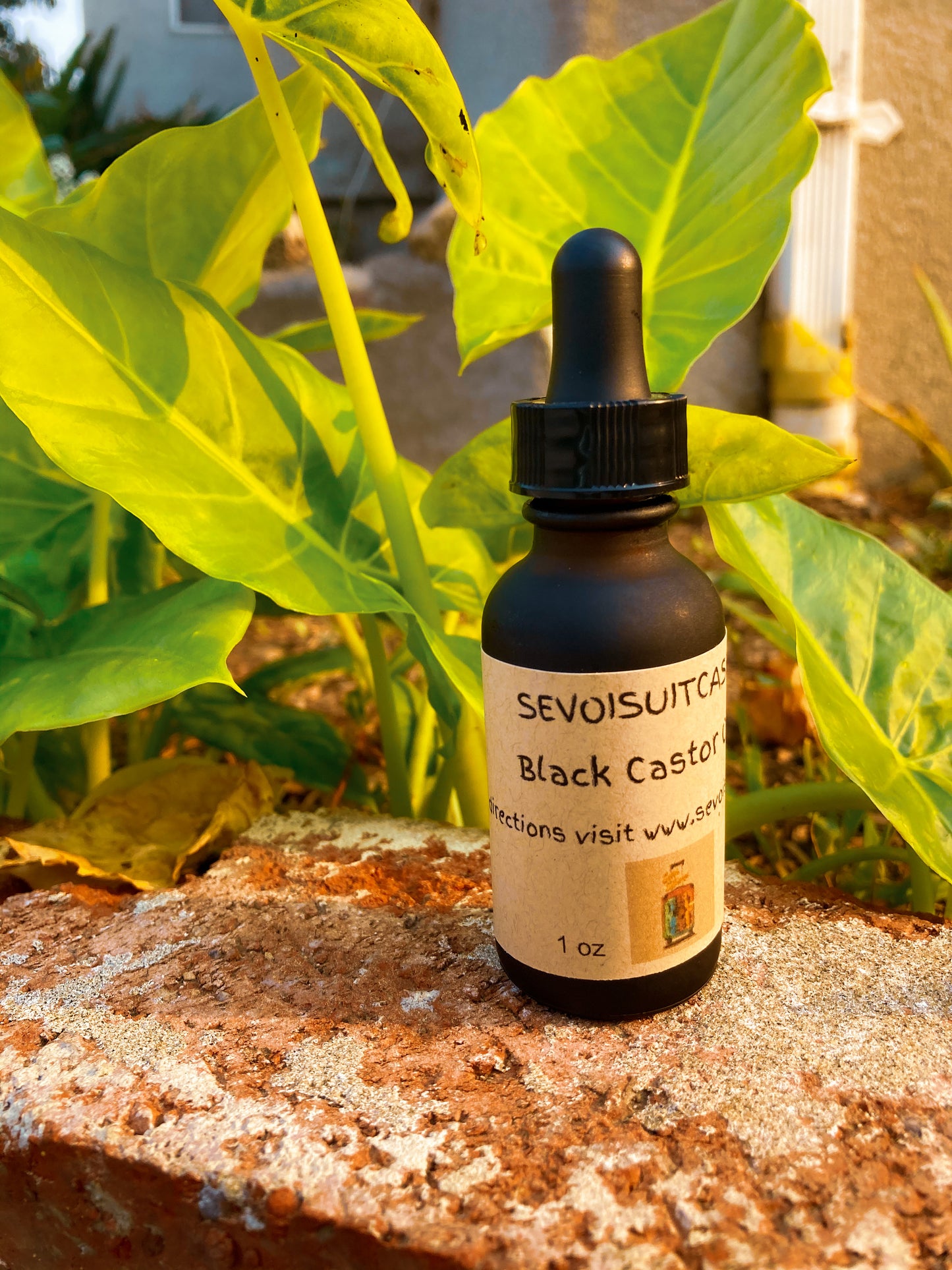Black Castor Oil