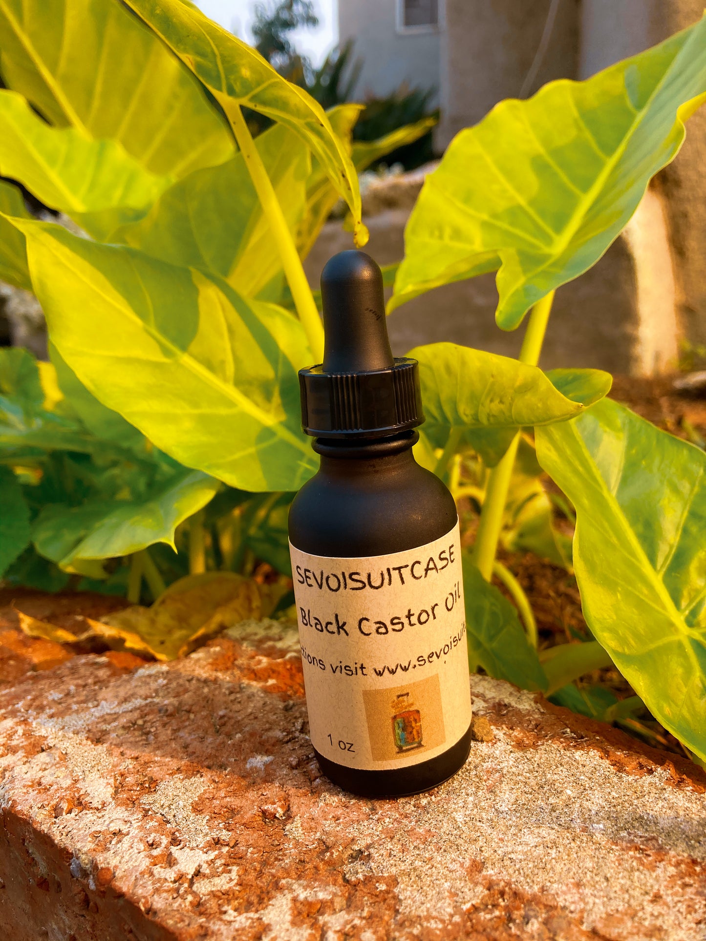 Black Castor Oil